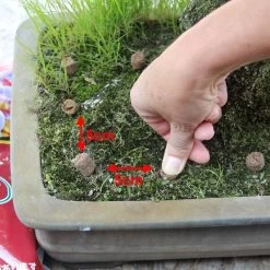 Hanagokoro Bonsai Dünger 3.0kg -Mini Wald Verkauf d2han30003