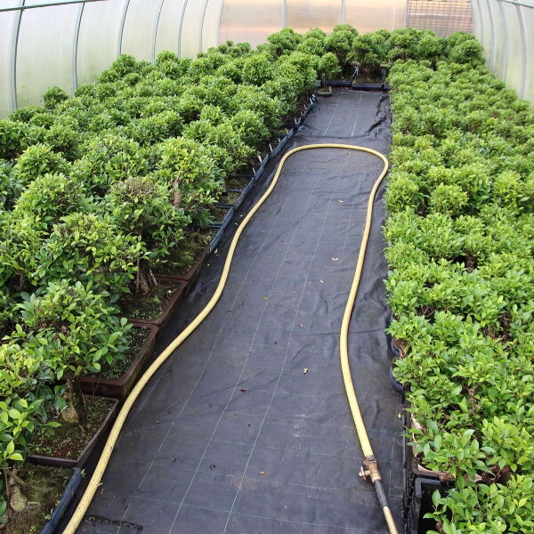 Mini Wald Verkauf -Mini Wald Verkauf ificret111 023