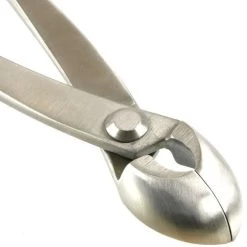 Runde Konkavzange 20.5cm Top Edelstahl -Mini Wald Verkauf wz rk bq3 e5