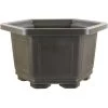 Bonsaischale 33.6x33.6x20.3cm Dunkelbraun Sechseckig Kunststoff -Mini Wald Verkauf z ps h34 db