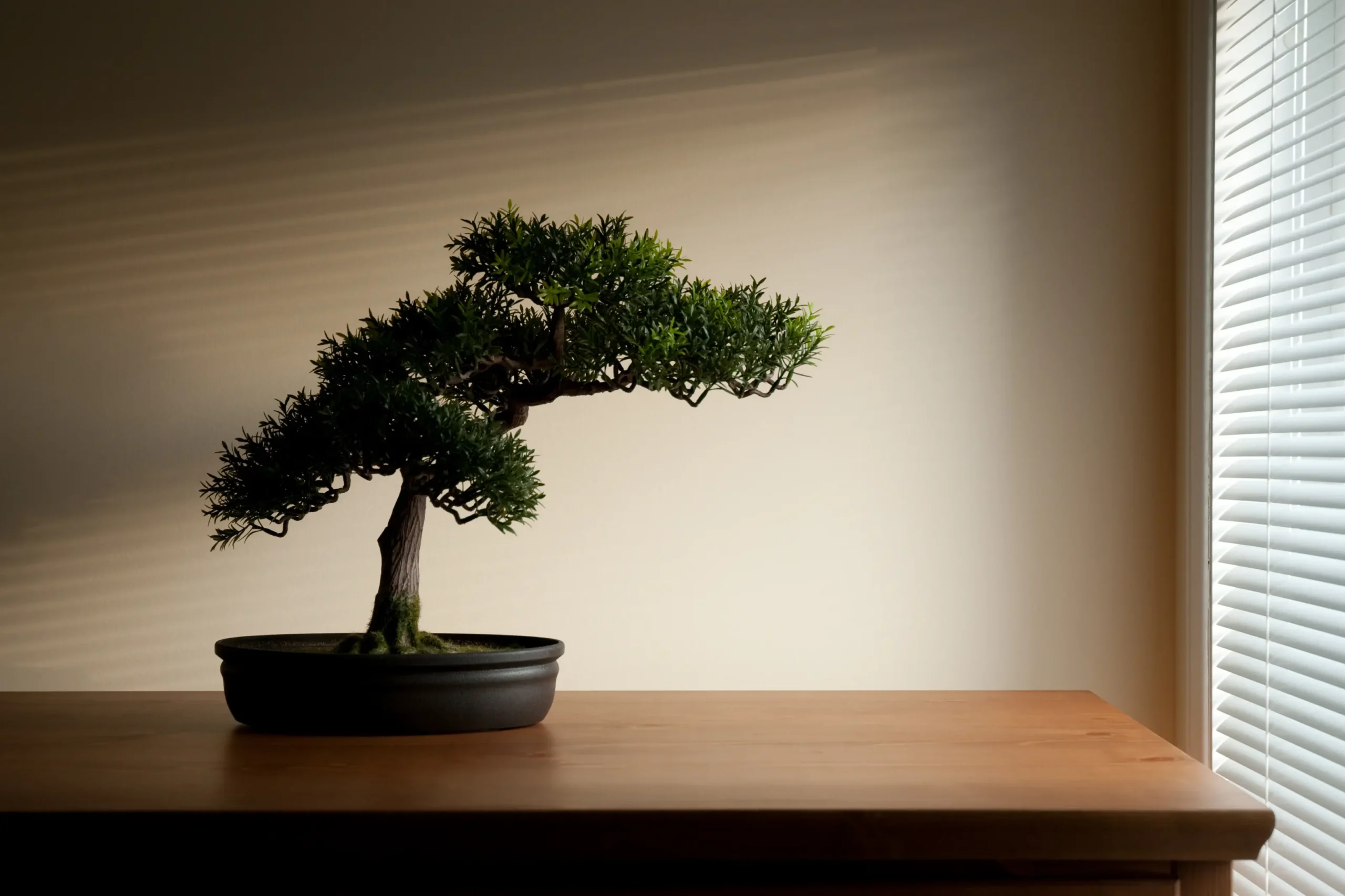 Mini Wald Verkauf -Mini Wald Verkauf bonsai banner image 4 scaled 1